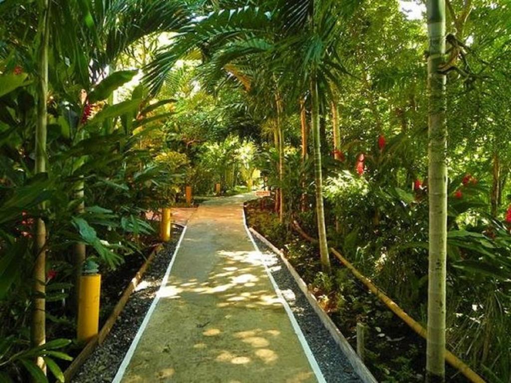 Bay View Eco Resort & Spa Port Antonio Exterior photo