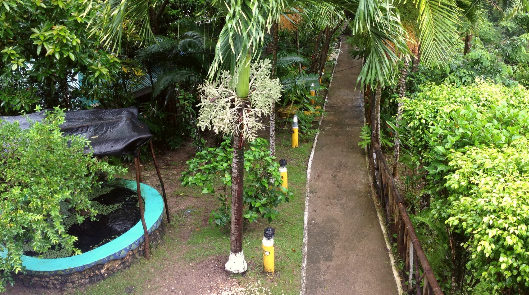 Bay View Eco Resort & Spa Port Antonio Exterior photo